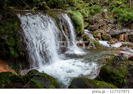 夏の横谷渓谷　霧降の滝　マイナスイオンの世界　長野県茅野市　日本 117727971