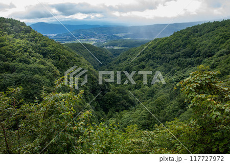 夏の横谷渓谷　横谷観音展望台からの風景　長野県茅野市　日本 117727972