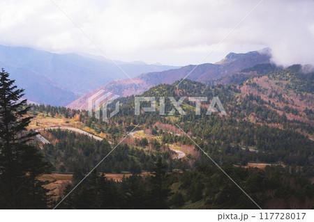 横手山の満天ビューテラスから見る志賀草津高原ルート【渋峠・上信越高原国立公園】長野県 横手山の満天ビューテラスから見る志賀草津高原ルート【渋峠・上信越高原国立公園】長野県 117728017