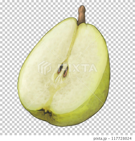 カットされたラ・フランスのイラスト 117728024