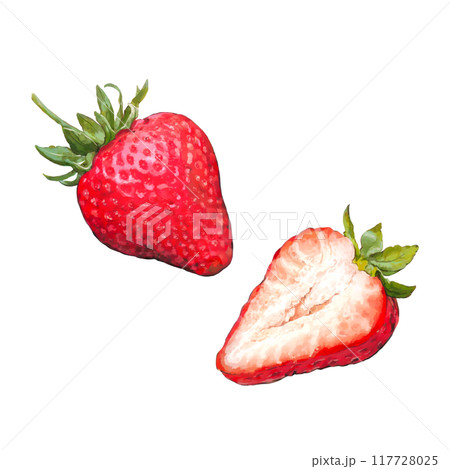 いちごのイラスト 117728025