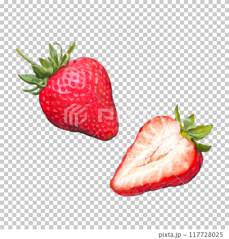 いちごのイラスト 117728025