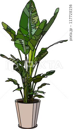 観葉植物イラスト、背景透明 117728156