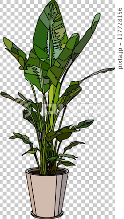 Houseplant illustration, transparent background 117728156