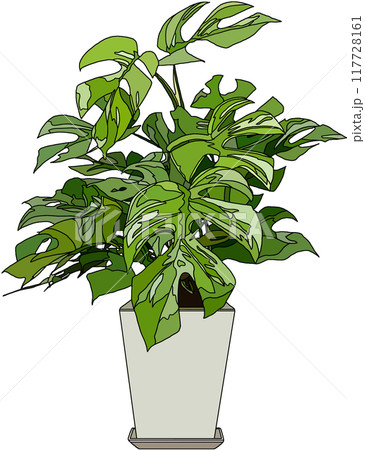 アニメ風観葉植物