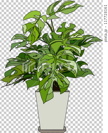 室內植物插圖，透明背景 117728161
