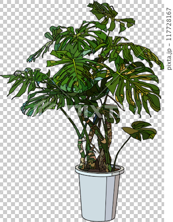 室內植物插圖，透明背景 117728167