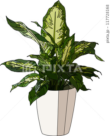 観葉植物イラスト、背景透明 観葉植物イラスト、背景透明 117728168