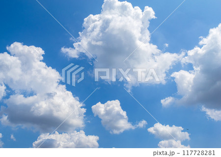 青空と白い雲 青空と白い雲 117728281