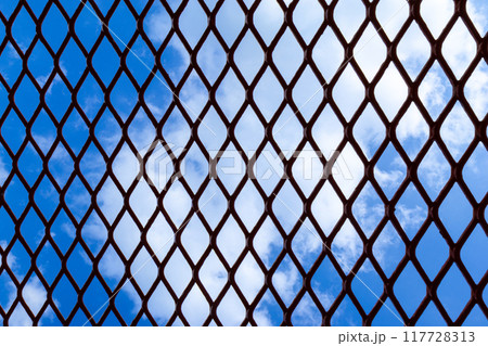 金網から見える青空 117728313