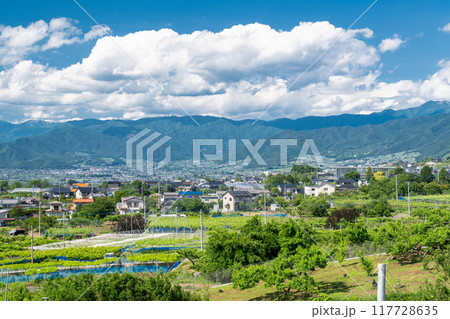 《山梨県》初夏の甲府盆地・のどかな街並み 117728635