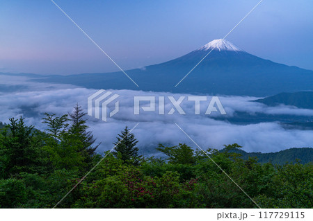《山梨県》富士山と大雲海・初夏の新道峠 《山梨県》富士山と大雲海・初夏の新道峠 117729115