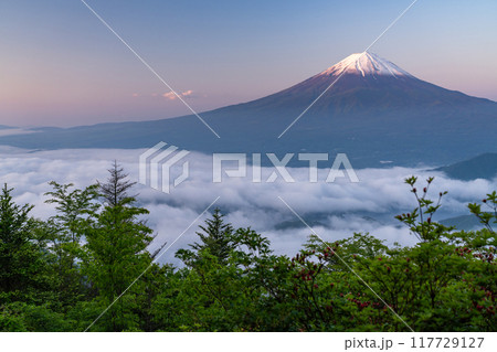 《山梨県》富士山と大雲海・初夏の新道峠 《山梨県》富士山と大雲海・初夏の新道峠 117729127