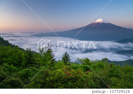 《山梨県》富士山と大雲海・初夏の新道峠 117729128
