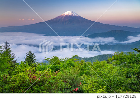 《山梨県》富士山と大雲海・初夏の新道峠 《山梨県》富士山と大雲海・初夏の新道峠 117729129