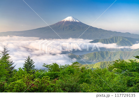 《山梨県》富士山と大雲海・初夏の新道峠 117729135