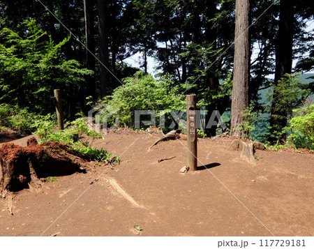 惣岳山（高水三山）山頂標識 117729181