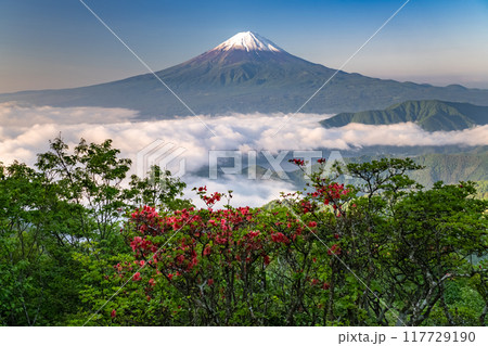 《山梨県》富士山と大雲海・初夏の新道峠 《山梨県》富士山と大雲海・初夏の新道峠 117729190