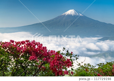 《山梨県》富士山と大雲海・初夏の新道峠 《山梨県》富士山と大雲海・初夏の新道峠 117729198