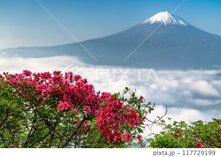 《山梨県》富士山と大雲海・初夏の新道峠 117729199