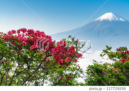 《山梨県》富士山と大雲海・初夏の新道峠 117729200