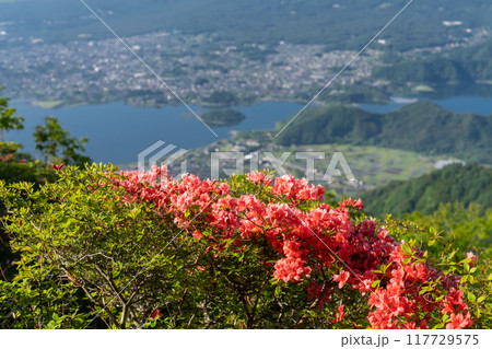 《山梨県》富士山・初夏の新道峠 117729575