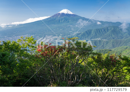 《山梨県》富士山・初夏の新道峠 117729579