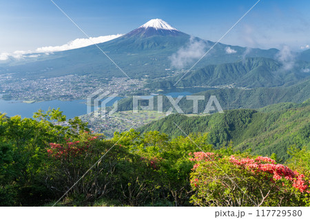 《山梨県》富士山・初夏の新道峠 《山梨県》富士山・初夏の新道峠 117729580