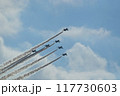 那覇基地ブルーインパルス曲芸飛行 117730603