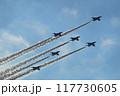 那覇基地ブルーインパルス曲芸飛行 117730605