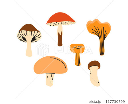 Vector set with forest mushrooms. Autumn harvest. Illustration in a flat style. Vector set with forest mushrooms. Autumn harvest. Illustration in a flat style. 117730799