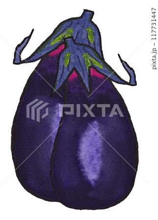手描きの水彩画(絵手紙)「茄子」二本のイラスト素材 [117731447] - PIXTA