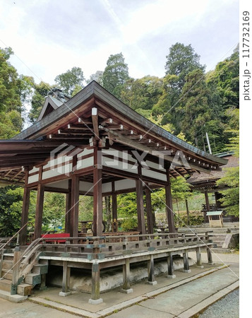新緑に包まれた京都・月読神社の拝殿 117732169