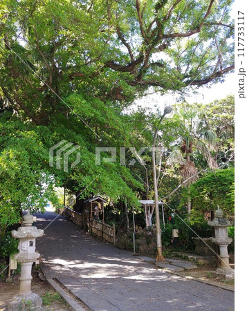 沖縄県金武町　金武観音寺3 117733117