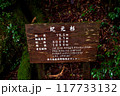 屋久島 紀元杉　看板 117733132