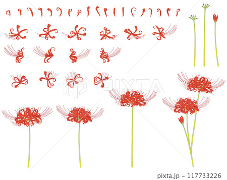 彼岸花のセット 117733226