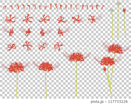 Set of red spider lilies 117733226