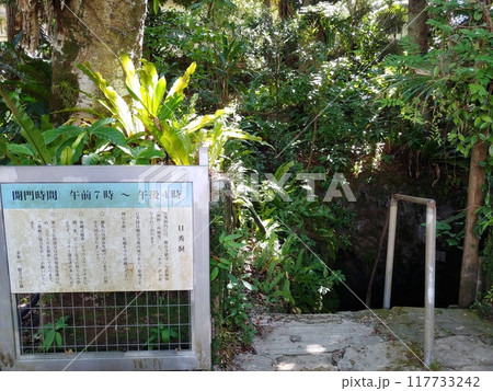 沖縄県金武町 日秀洞2 沖縄県金武町 日秀洞2 117733242