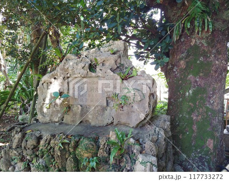 沖縄県金武町 金武観音寺7 沖縄県金武町 金武観音寺7 117733272