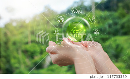 Hand holding with tree for co2, ESG and net zero. energy saving concept. save our planet, world environment day, world earth day. sustainable development and green business. 117733389