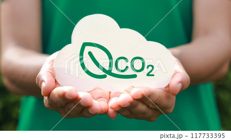 Hand holding with cloud for co2, ESG and net zero. energy saving concept. save our planet, world environment day, world earth day. sustainable development and green business. Hand holding with cloud for co2, ESG and net zero. energy saving concept. save our planet, world environment day, world earth day. sustainable development and green business. 117733395