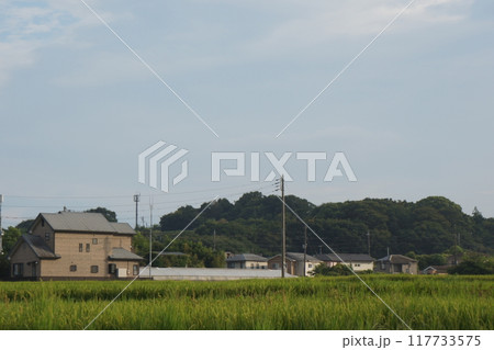田んぼのある風景 田んぼのある風景 117733575