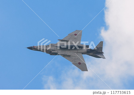 旋回する航空自衛隊RF-4EファントムⅡ偵察機 117733615