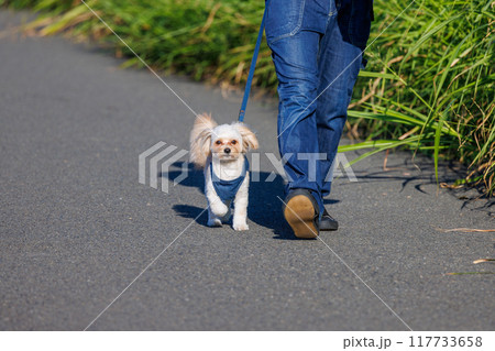 飼い主と散歩する犬 117733658