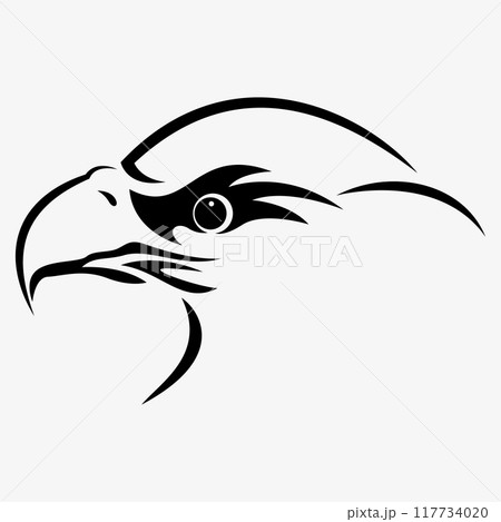eagle vector illustration design 117734020