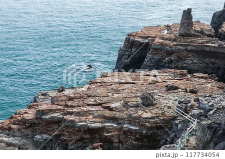 Landscape with rocks of Dongbaek Park of Busan city, South Korea 117734054