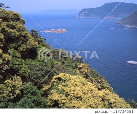 日和山海岸の沖合に浮かぶ竜宮城・後ヶ島(のちがしま)、丹後半島を眺望 /兵庫県豊岡市瀬戸 日和山海岸の沖合に浮かぶ竜宮城・後ヶ島(のちがしま)、丹後半島を眺望 /兵庫県豊岡市瀬戸 117734581