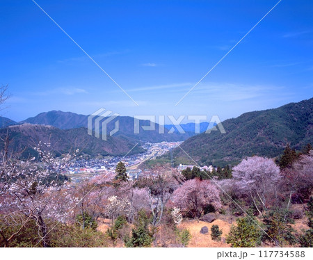 立雲峡の山桜と竹田城跡 /兵庫県朝来市 立雲峡の山桜と竹田城跡 /兵庫県朝来市 117734588