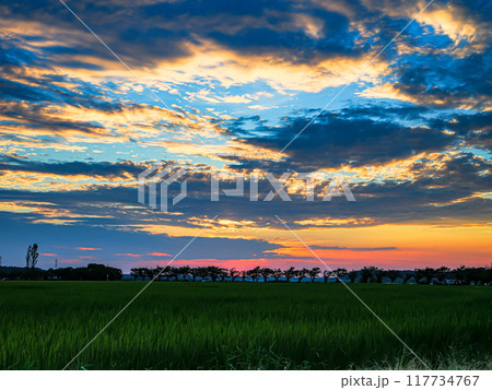 佐倉印旛沼の美しい夕焼け空と田園風景 佐倉印旛沼の美しい夕焼け空と田園風景 117734767