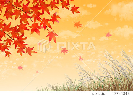 紅葉とススキ　夕焼け　秋の風景 117734848
